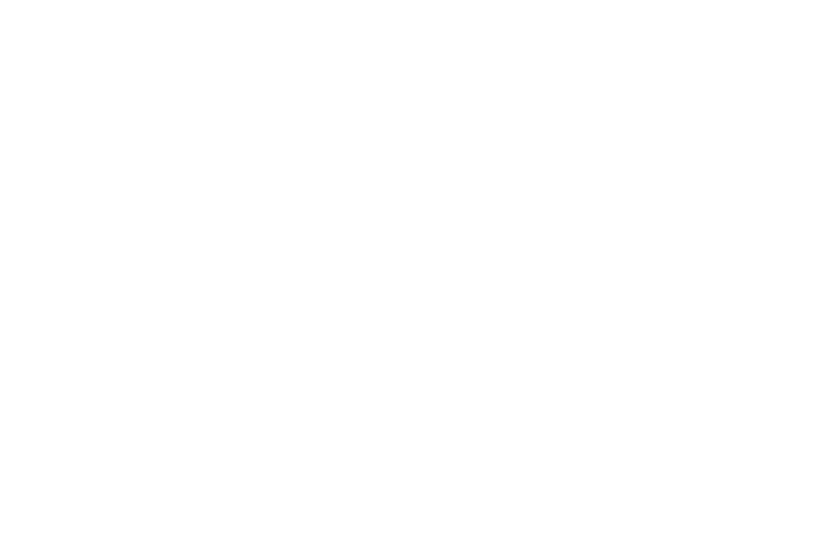 رؤية المملكة 2030